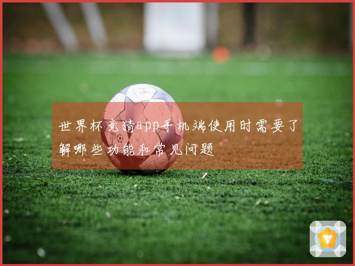 世界杯竞猜app手机端使用时需要了解哪些功能和常见问题