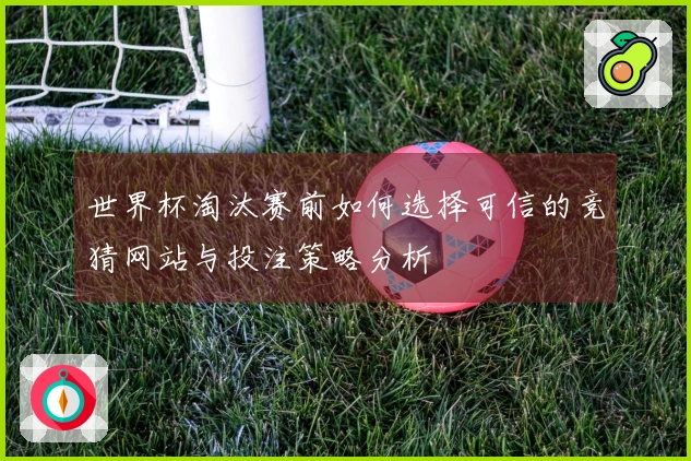 世界杯淘汰赛前如何选择可信的竞猜网站与投注策略分析