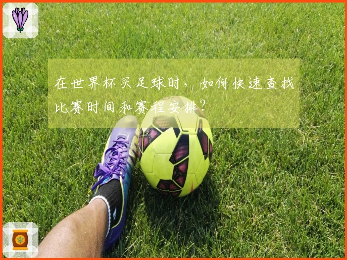 在世界杯买足球时，如何快速查找比赛时间和赛程安排？
