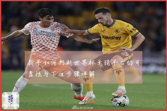 新手如何判断世界杯竞猜平台的可靠性与下注步骤详解