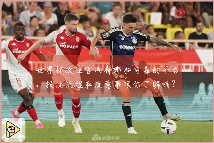 世界杯投注官网有哪些可靠的平台，投注流程和注意事项你了解吗？