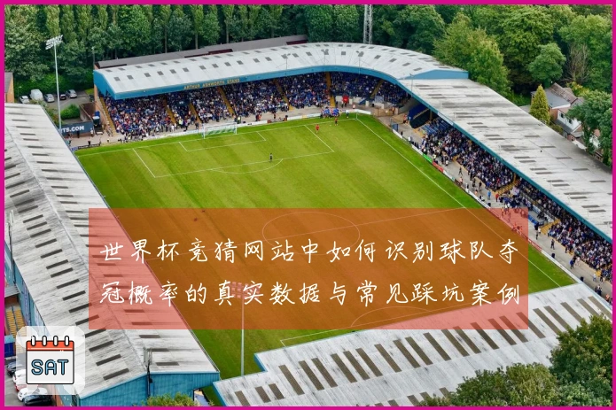 世界杯竞猜网站中如何识别球队夺冠概率的真实数据与常见踩坑案例