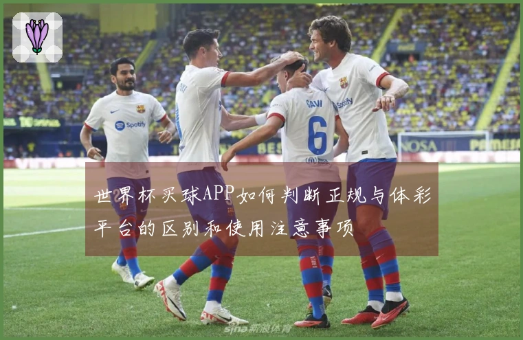 世界杯买球APP如何判断正规与体彩平台的区别和使用注意事项