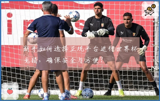 新手如何选择正规平台进行世界杯竞猜，确保安全与方便？