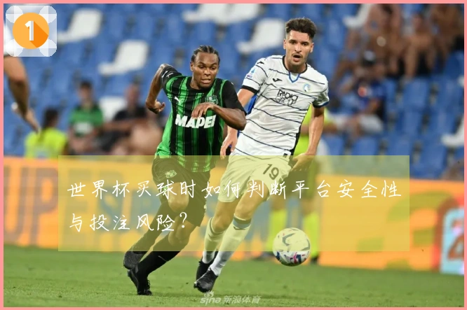 世界杯买球时如何判断平台安全性与投注风险？