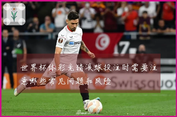 世界杯体彩竞猜滚球投注时需要注意哪些常见问题和风险