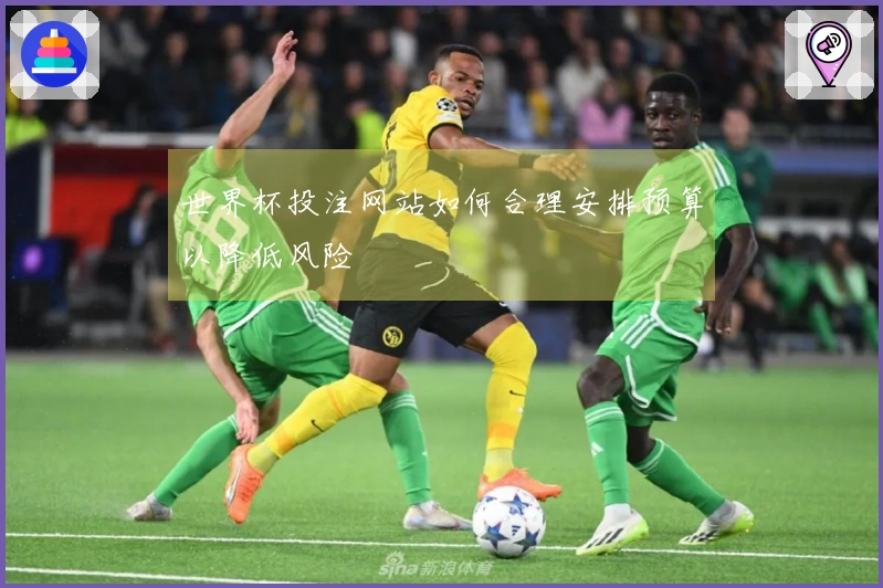 世界杯投注网站如何合理安排预算以降低风险