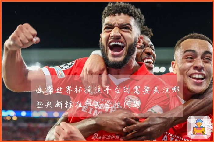 选择世界杯投注平台时需要关注哪些判断标准和安全性问题