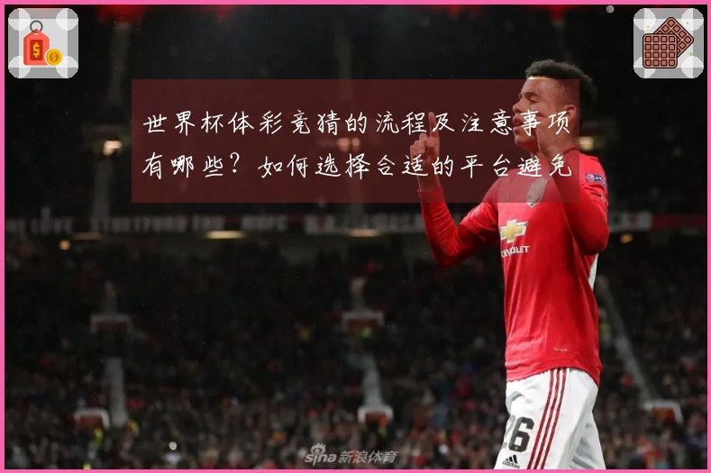 世界杯体彩竞猜的流程及注意事项有哪些？如何选择合适的平台避免风险？