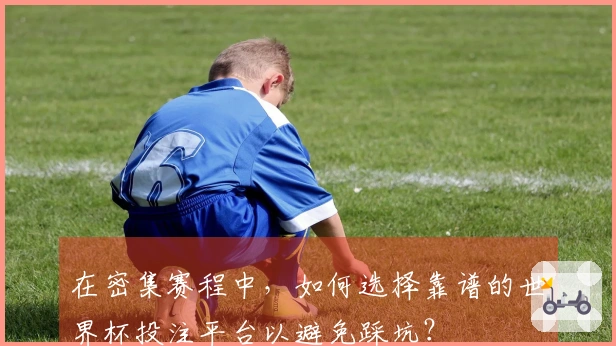 在密集赛程中，如何选择靠谱的世界杯投注平台以避免踩坑？