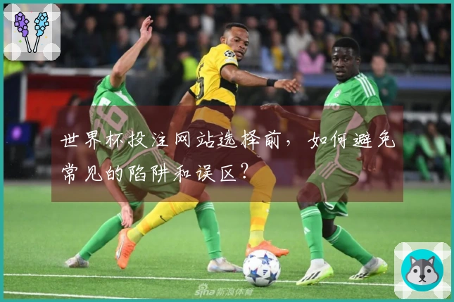 世界杯投注网站选择前，如何避免常见的陷阱和误区？