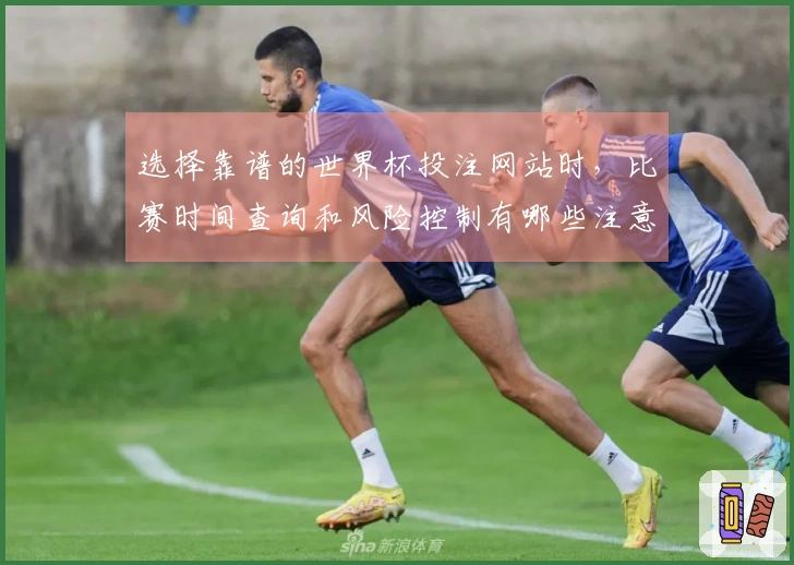 选择靠谱的世界杯投注网站时，比赛时间查询和风险控制有哪些注意事项？