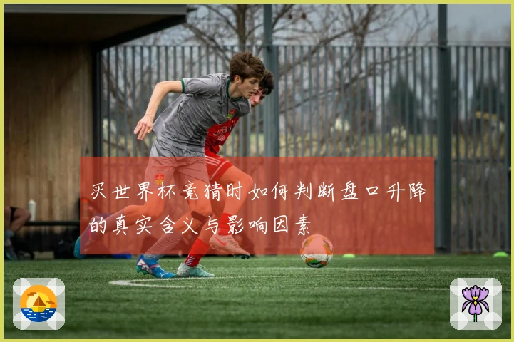 买世界杯竞猜时如何判断盘口升降的真实含义与影响因素