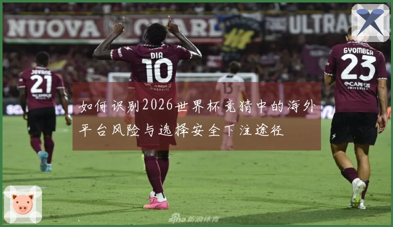 如何识别2026世界杯竞猜中的海外平台风险与选择安全下注途径