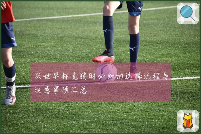 买世界杯竞猜时必知的选择流程与注意事项汇总