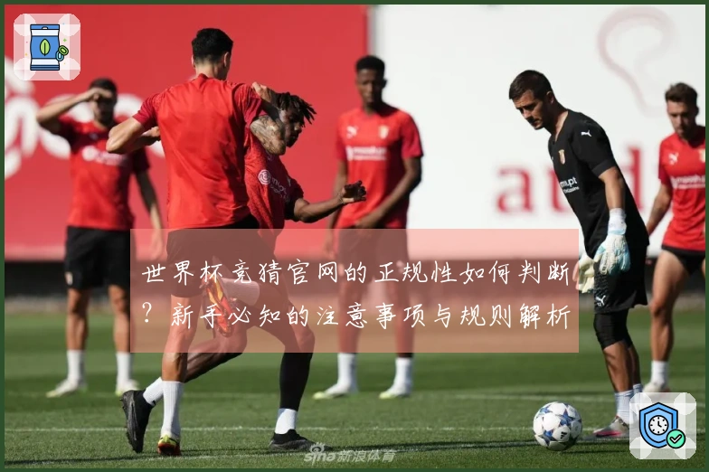 世界杯竞猜官网的正规性如何判断？新手必知的注意事项与规则解析
