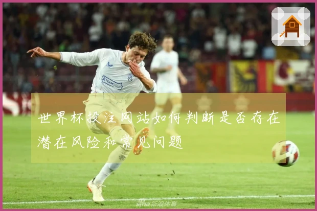 世界杯投注网站如何判断是否存在潜在风险和常见问题