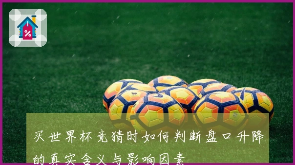 买世界杯竞猜时如何判断盘口升降的真实含义与影响因素