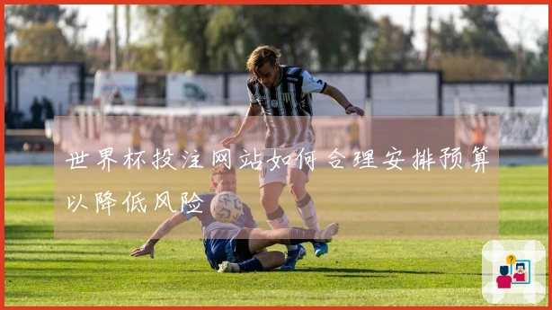 世界杯投注网站如何合理安排预算以降低风险
