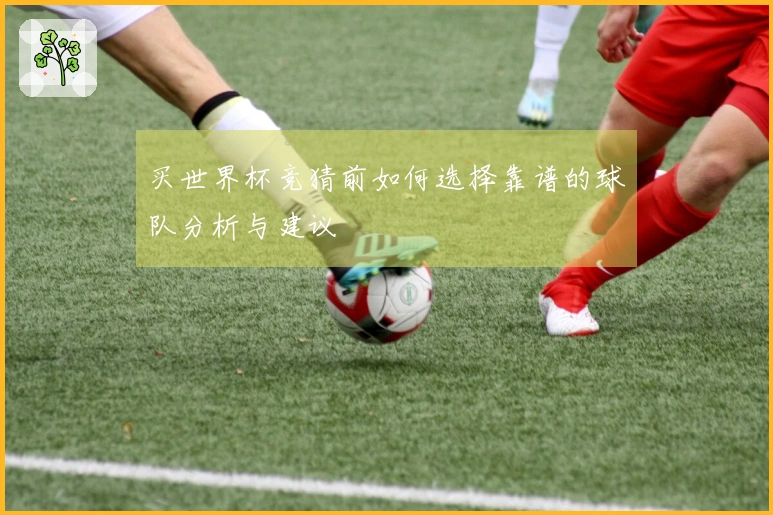 买世界杯竞猜前如何选择靠谱的球队分析与建议