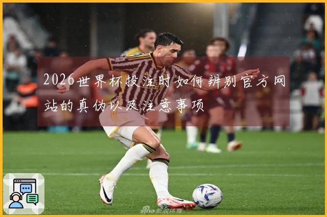 2026世界杯投注时如何辨别官方网站的真伪以及注意事项