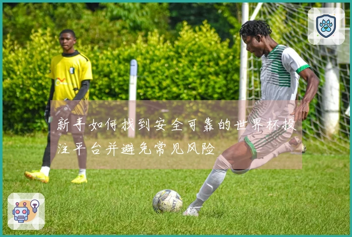 新手如何找到安全可靠的世界杯投注平台并避免常见风险