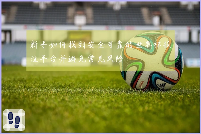 新手如何找到安全可靠的世界杯投注平台并避免常见风险