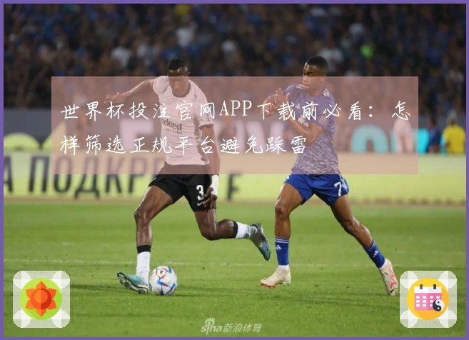 世界杯投注官网APP下载前必看：怎样筛选正规平台避免踩雷