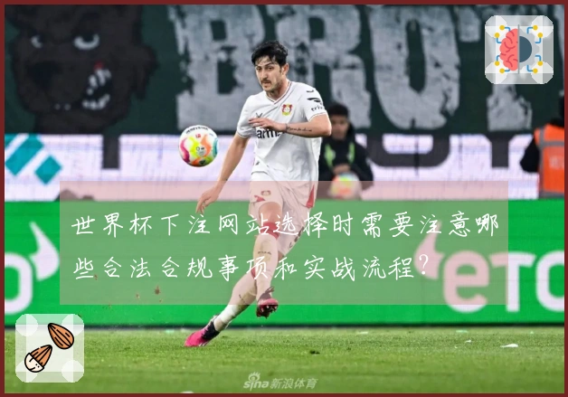 世界杯下注网站选择时需要注意哪些合法合规事项和实战流程？
