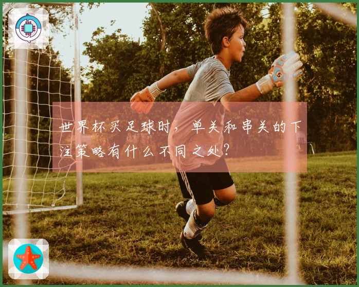 世界杯买足球时，单关和串关的下注策略有什么不同之处？
